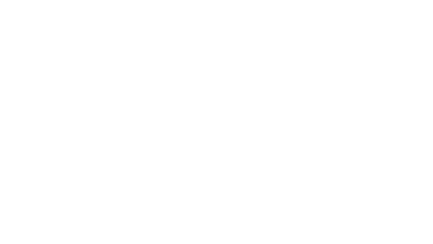 A houston Original