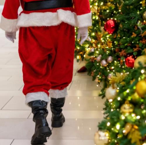 Santa Paid Photo Sessions - sponsored by Pets Supplies Plus (Graphic - Opens in an overlay)