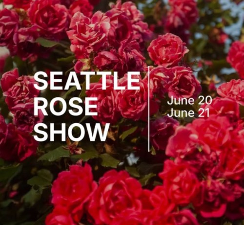 Seattle Rose Show (Graphic - Opens in an overlay)